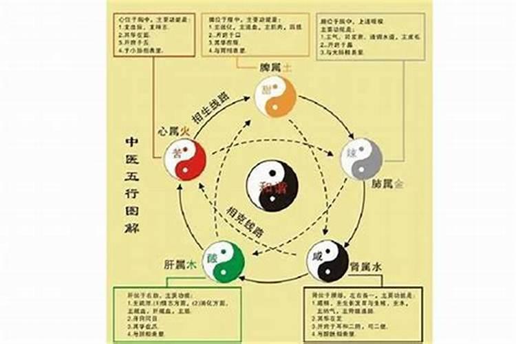 八字看大限寿命准吗