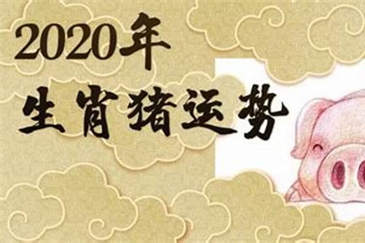 免费算命202年运程