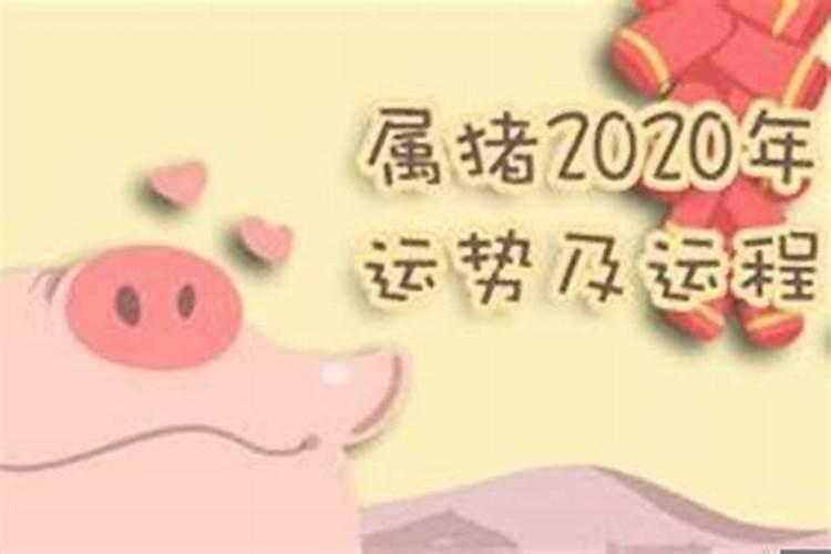 2021年1995属猪的全年运势