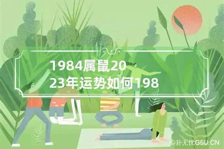 1984年2024年运势及运程每月运程