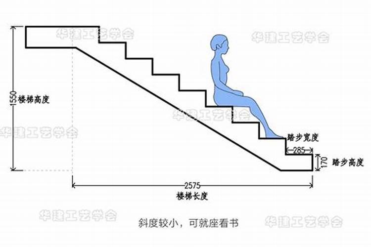 家里摆什么比较招财