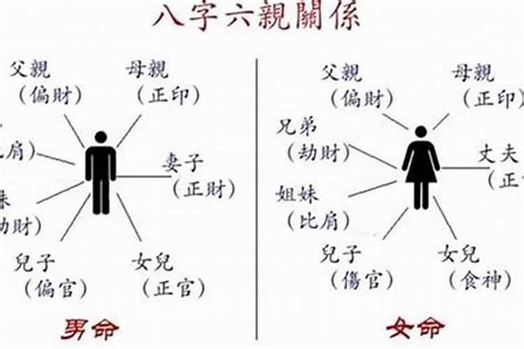 八字合婚看子女