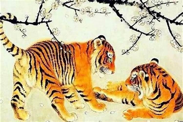 婚配虎和虎