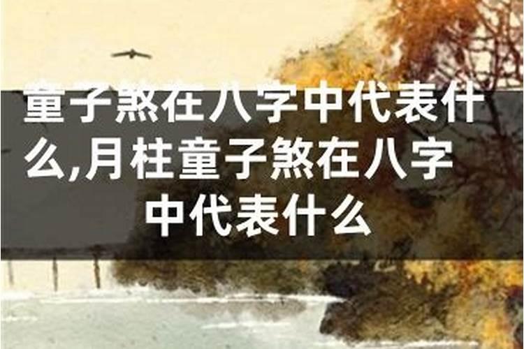 童子在八字中代表什么