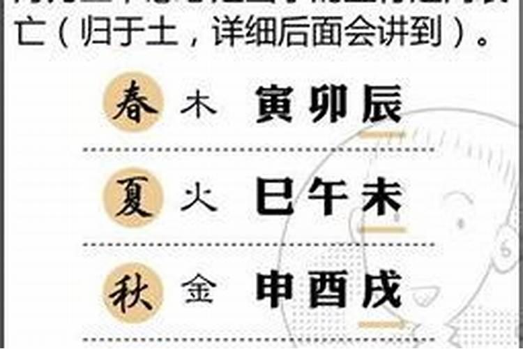 庚子辛巳乙丑壬午这个八字如何?