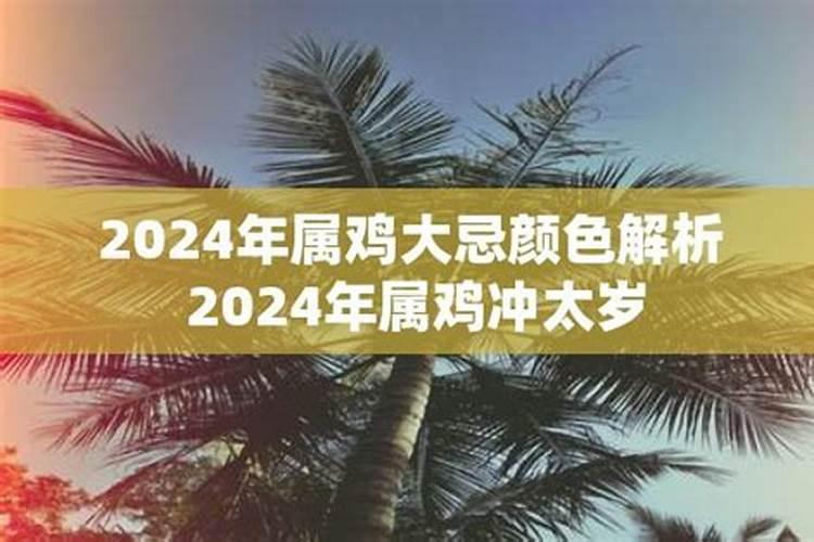 属鸡2021年忌什么颜色