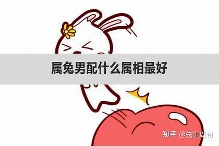 属兔男与什么属相最配对