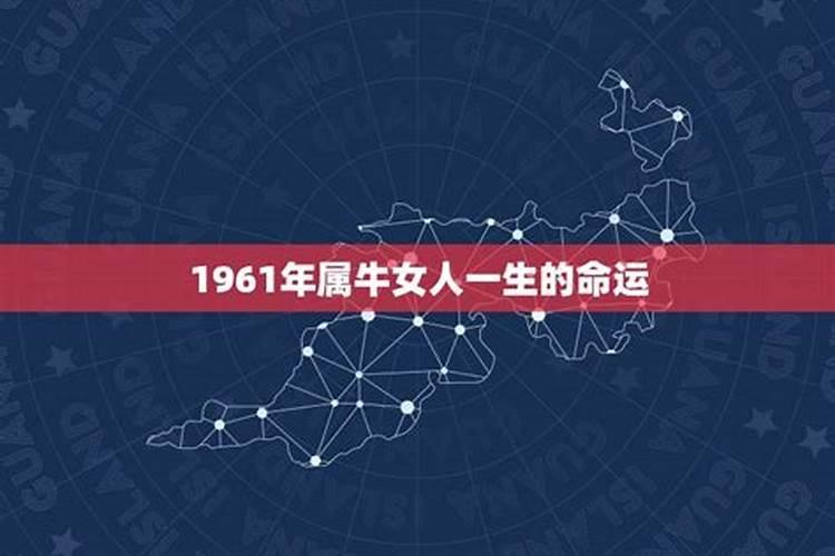 1961属牛今年运势