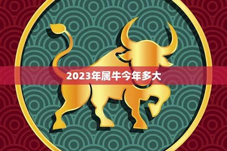 2021年属牛今年多大