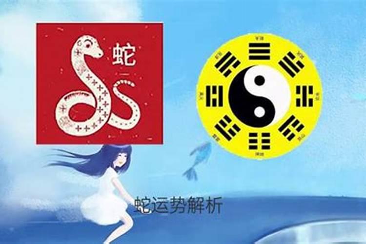 属蛇的运气今年怎么样