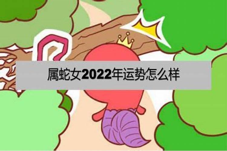 属蛇感情运势2023