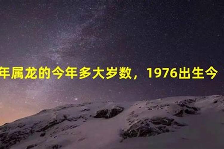 1976年属龙的今年多大岁数