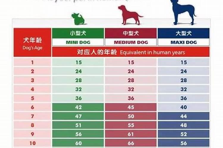 58年属狗人寿命多少岁