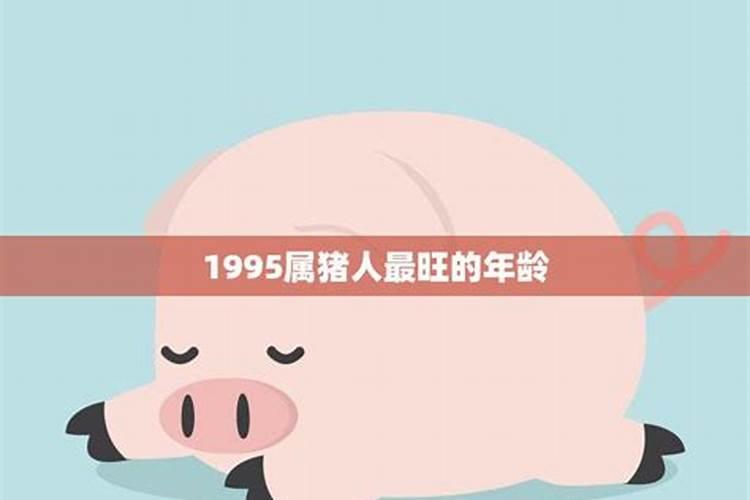 1995属猪人2023年多大