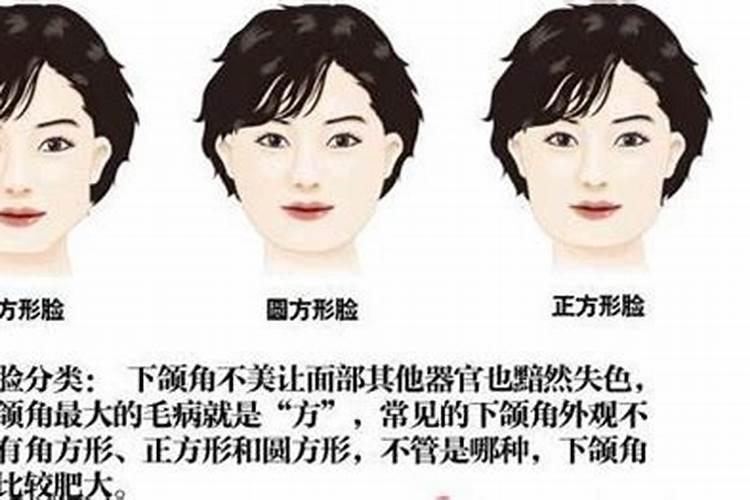 由字型脸女人的婚姻