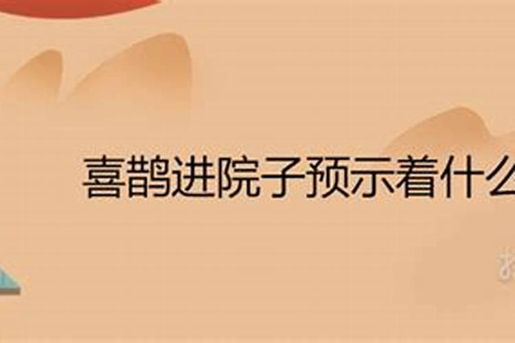 梦见车辆失控从高处坠落别人都死了