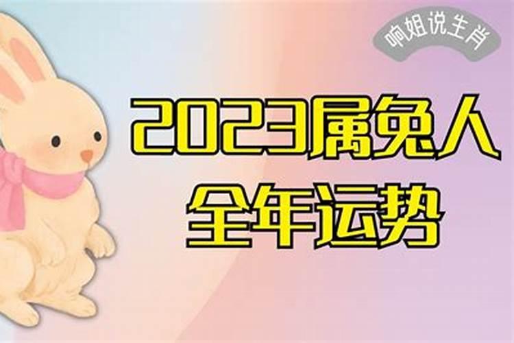 2020属兔的全年运势