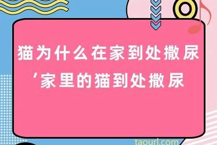 事业运好感情运不好