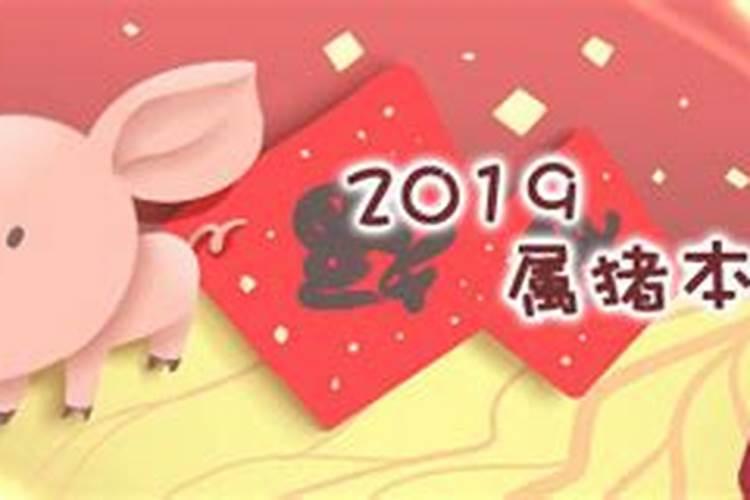 2019年是属猪的本命年吗