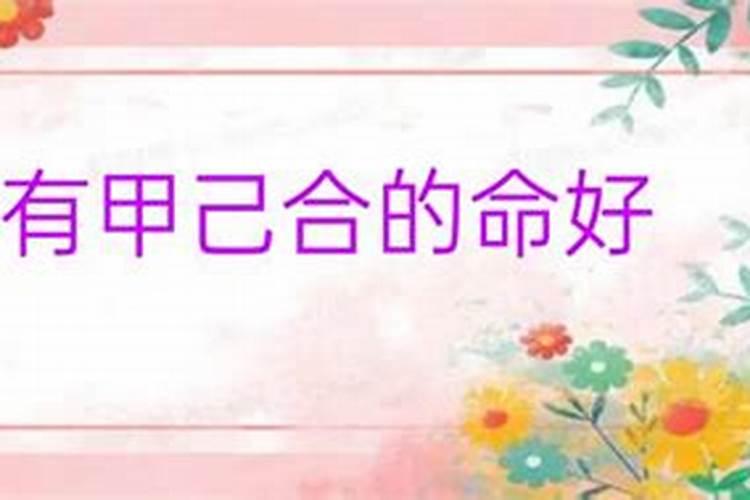 八字甲己合的女人实例