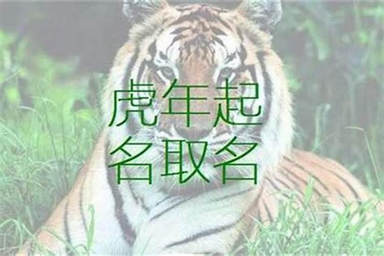 属虎的人名字禁忌