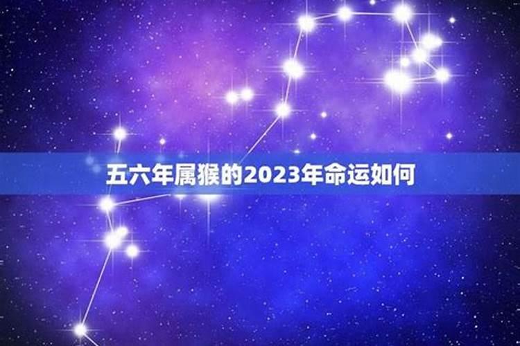 属龙今年冲太岁是什么意思