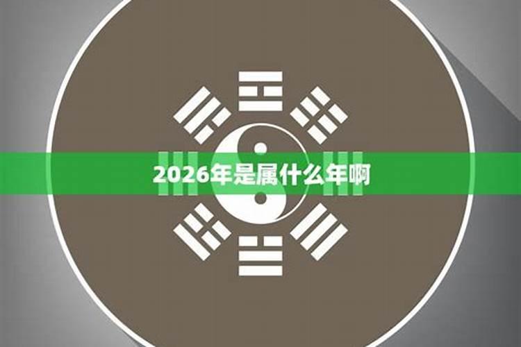 2026年属什么生肖属相的大了