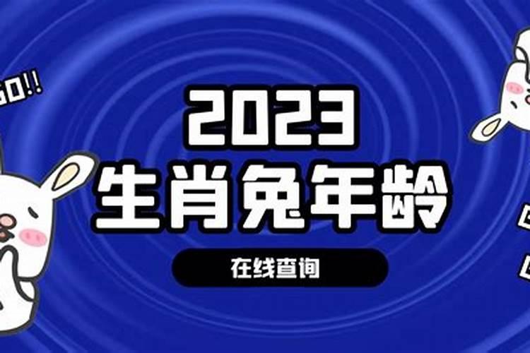 2022年属兔的今年多大