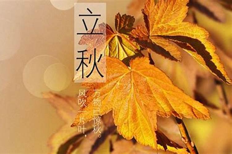 今年虎年本命年需要注意什么