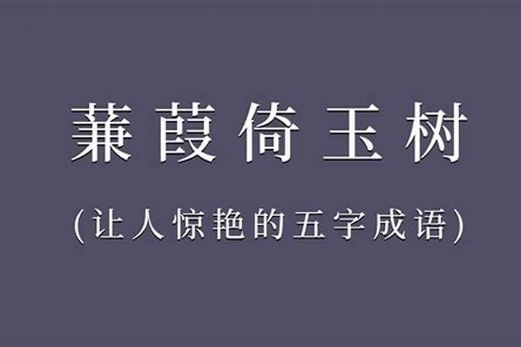 71年属猪出生的人2024年运程