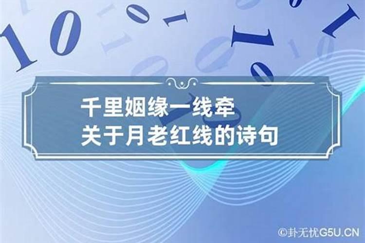 八字合婚月老情丝线是什么