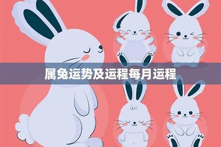 女属兔11月份出生的命运