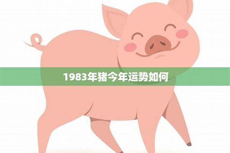 2020年属猴人全年运程