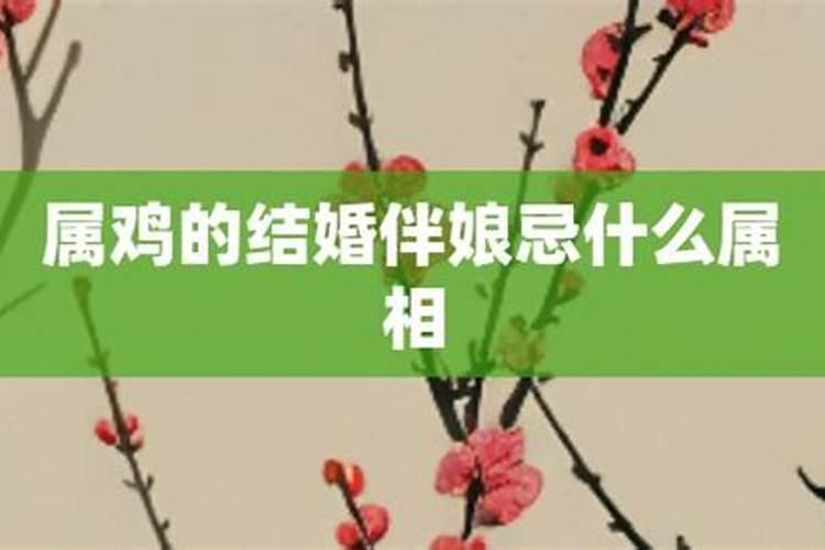 属鸡的今年结婚应该注意什么