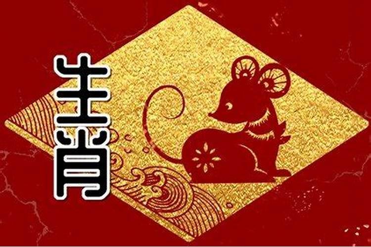 属鼠的今年有财运吗