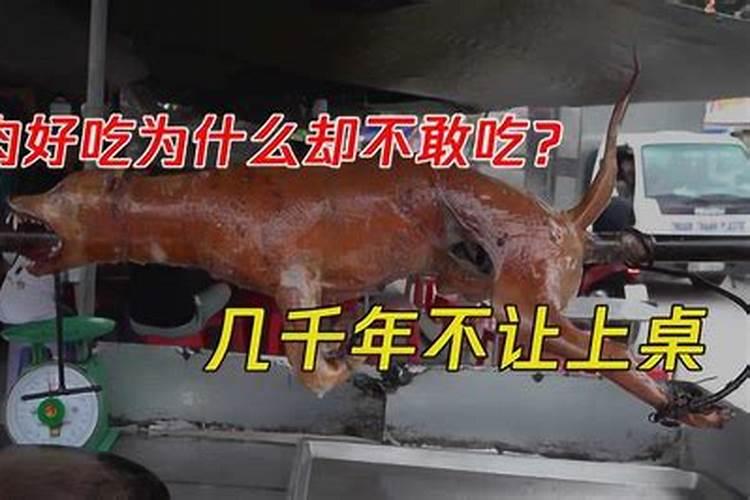 本命年能吃狗肉吗