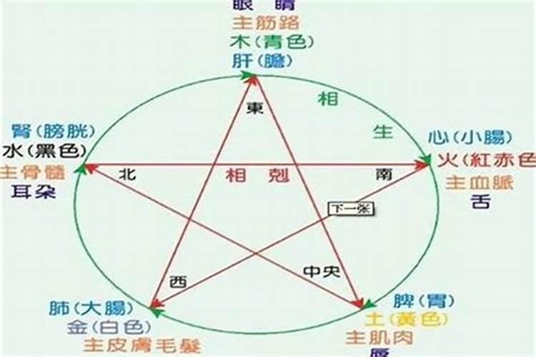 婚配看八字五行还是属相五行好