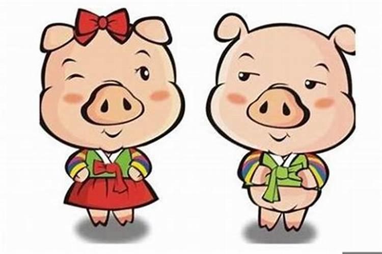 属猪和属猪的婚姻怎么样相配吗