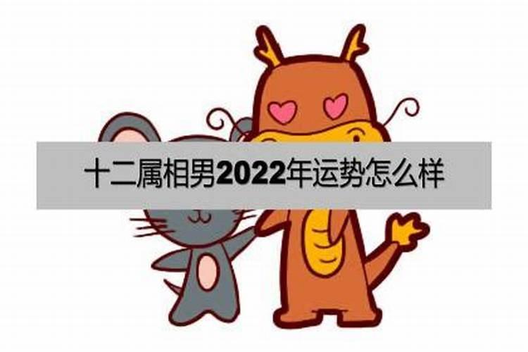 1972年属牛人2022年运势运程男