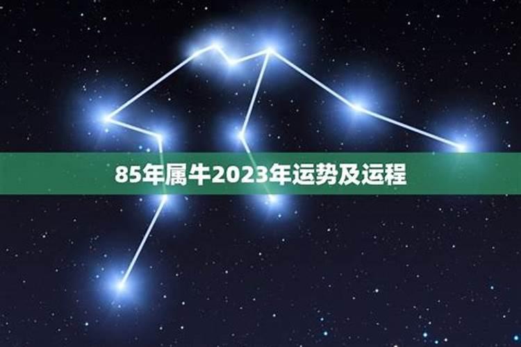 属牛女2023年运势及运程每月运程