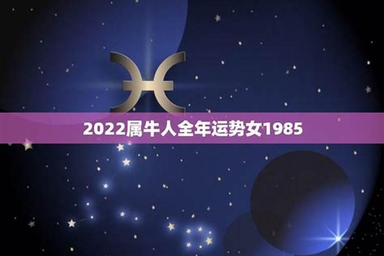 2023属牛人全年运势女1973