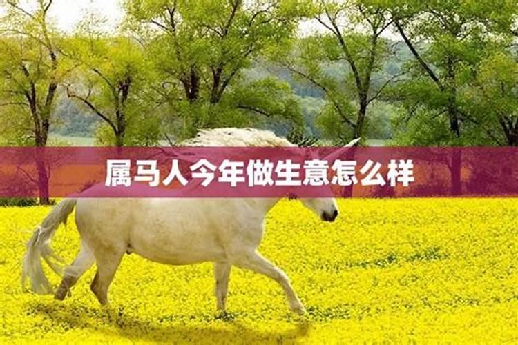 属马人今年运气如何,财运如何呢