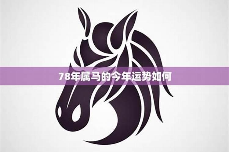 属马的今年财运怎么样2021