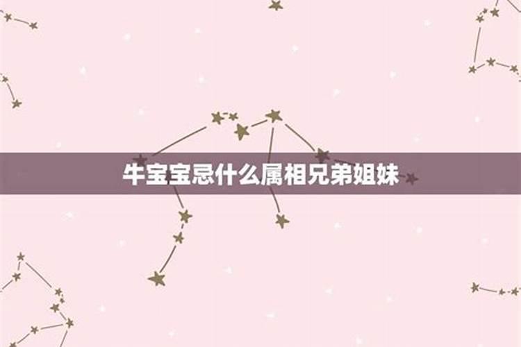 兄弟姐妹属相犯忌吗