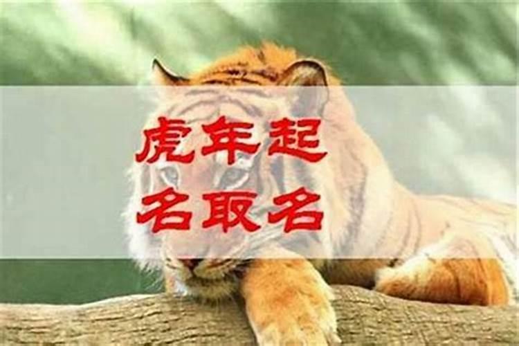 猴年有哪些生肖犯太岁呢