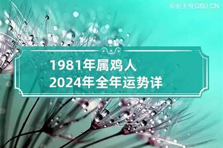 兔年生人2024年运程及运势