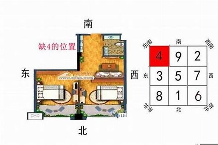 属牛1月运势2024年运程