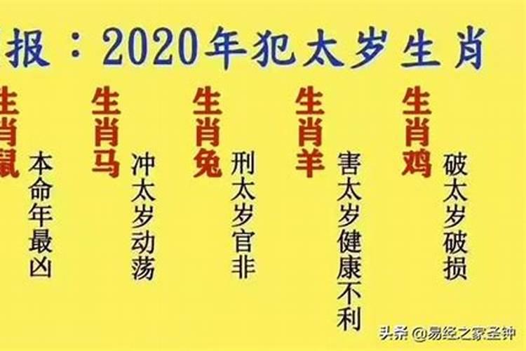 鼠年犯太岁的四个属相