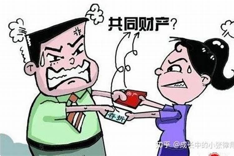 婚姻关系存续期间夫妻共同财产包括什么