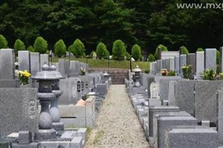 女人梦见很多墓地是什么预兆
